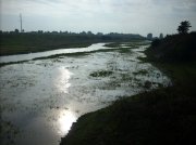 DSCN2235.jpg