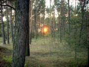 Изображение 052.jpg