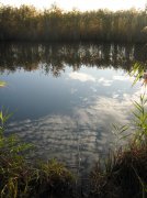 IMG_8696.jpg