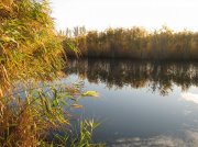 IMG_8697.jpg