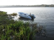окунь 012.jpg
