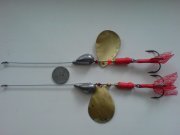 DSC00546.JPG
