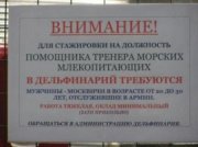 1222063756_55.jpg