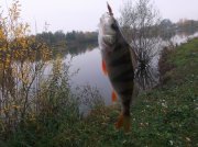 DSCF6088.JPG