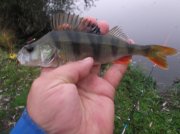 DSCF6089.JPG