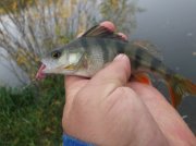 DSCF6090.JPG