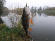 DSCF6099.JPG