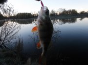 DSCF6117.JPG