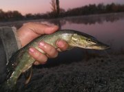 DSCF6116.JPG