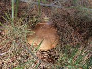 DSC00789.JPG