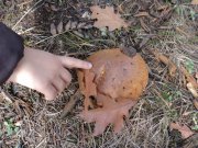 DSC00794.JPG