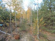 DSC00799.JPG