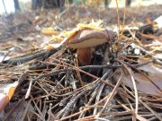 DSC00800.JPG