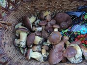 DSC00826.JPG