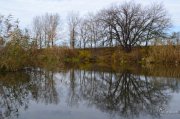 DSC_1554.JPG