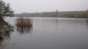 IMG_1816.jpg
