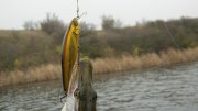IMG_1822.jpg