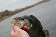 IMG_6117.JPG