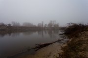 IMG_2626.jpg