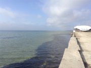 IMG_0302.JPG