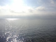 IMG_0310.JPG