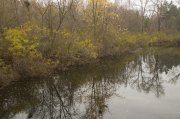 IMG_9052.JPG