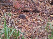 20131015_142323-1-1.jpg