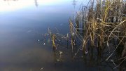 IMAG0960.jpg