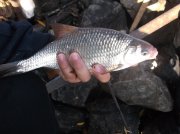 DSCF6156.JPG