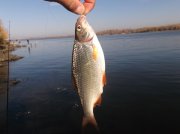 DSCF6160.JPG
