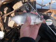 DSCF6159.JPG
