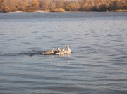 DSCF6157.JPG