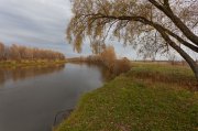 IMG_2694.jpg