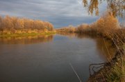 IMG_2701.jpg