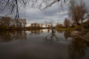 IMG_2710.jpg