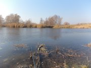 DSC00877.JPG