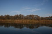 IMG_6175.JPG