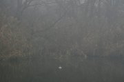 IMG_6204.JPG