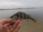 DSCF6120.JPG