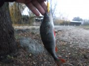 DSCF6163.JPG