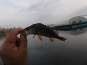 DSCF6166.JPG