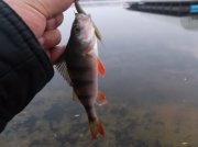 DSCF6164.JPG