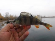 DSCF6168.JPG