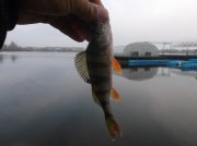 DSCF6165.JPG