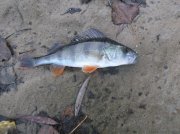 DSCF6170.JPG