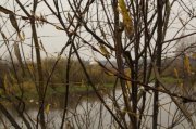 IMG_9165.JPG
