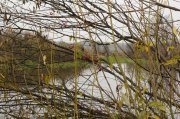 IMG_9167.JPG