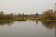 IMG_9175.JPG
