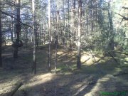 DSC01951.JPG