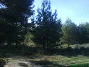 DSC01954.JPG